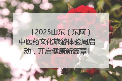 2025山东（东阿）中医药文化旅游体验周启动，开启健康新篇章