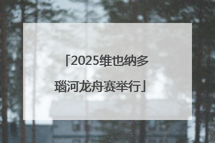 2025维也纳多瑙河龙舟赛举行