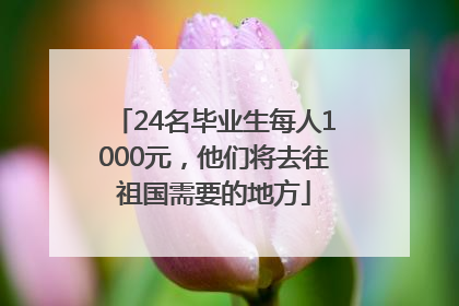 24名毕业生每人1000元，他们将去往祖国需要的地方