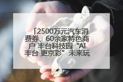 2500万元汽车消费券、60余家特色商户 丰台科技园“AI丰台 更京彩”未来玩家市集活动正式开幕