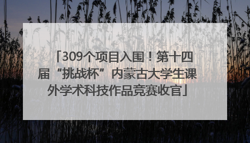 309个项目入围！第十四届“挑战杯”内蒙古大学生课外学术科技作品竞赛收官