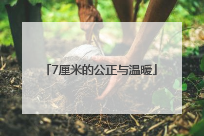 7厘米的公正与温暖