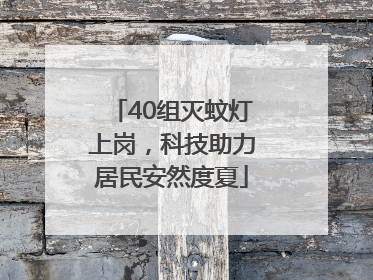 40组灭蚊灯上岗，科技助力居民安然度夏