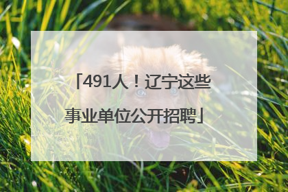 491人！辽宁这些事业单位公开招聘