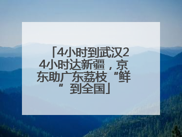 4小时到武汉24小时达新疆，京东助广东荔枝“鲜”到全国