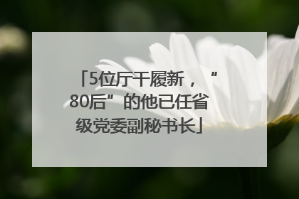 5位厅干履新，“80后”的他已任省级党委副秘书长