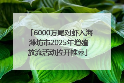 6000万尾对虾入海 潍坊市2025年增殖放流活动拉开帷幕