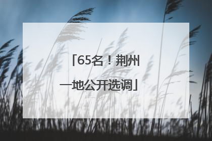 65名！荆州一地公开选调