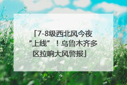 7-8级西北风今夜“上线”！乌鲁木齐多区拉响大风警报