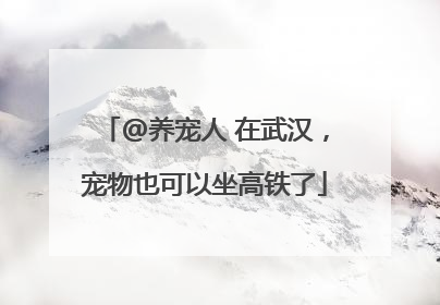 @养宠人 在武汉，宠物也可以坐高铁了