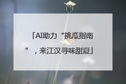 AI助力“挑瓜指南”，来江汉寻味甜夏