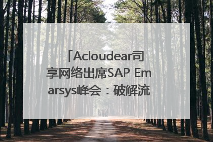 Acloudear司享网络出席SAP Emarsys峰会：破解流量困局，驱动精准增长