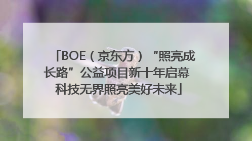 BOE（京东方）“照亮成长路”公益项目新十年启幕 科技无界照亮美好未来